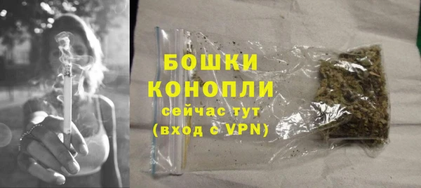 соль ск Осинники