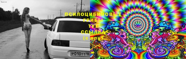 прущий лед Осташков
