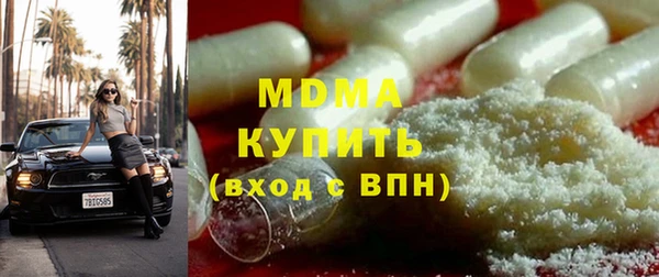 шишки Гусиноозёрск