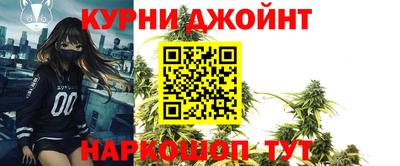 СК Кингисепп