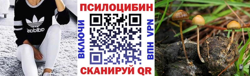 Псилоцибиновые грибы мухоморы  Кувандык 