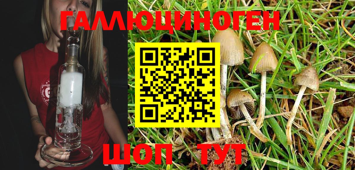 Псилоцибиновые грибы мухоморы Кувандык