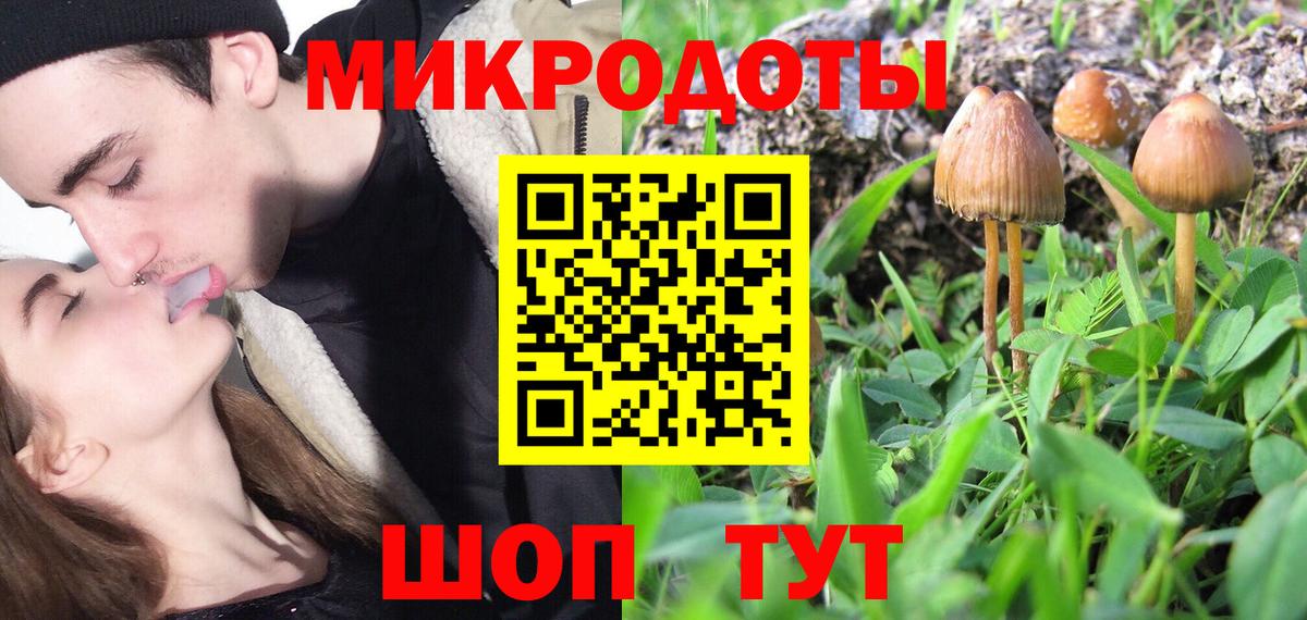Псилоцибиновые грибы Magic Shrooms Кувандык