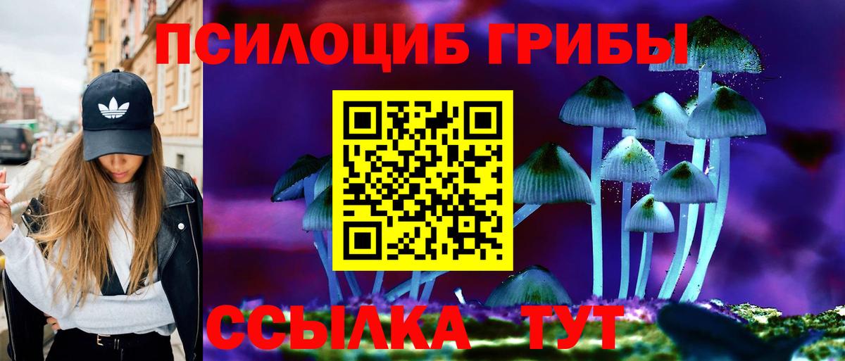Кувандык  Псилоцибиновые грибы Cubensis  купить  сайты  Вход с VPN 